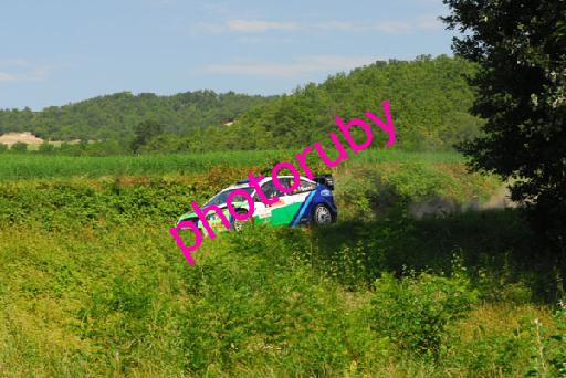DSC_0283.JPG