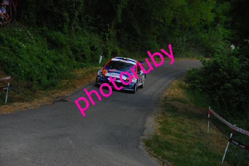 DSC_8642.JPG