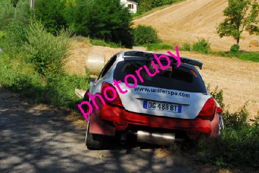 DSC_0418.JPG