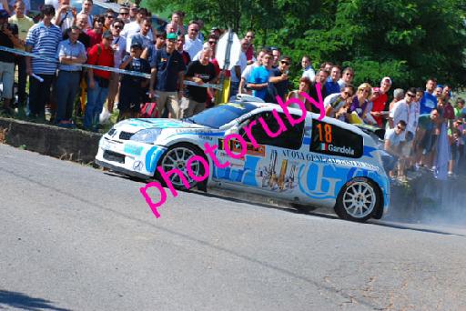 DSC_8438.JPG