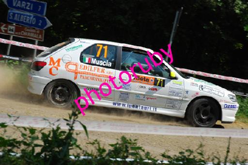 DSC_8815.JPG
