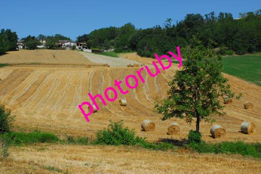 DSC_0631.JPG