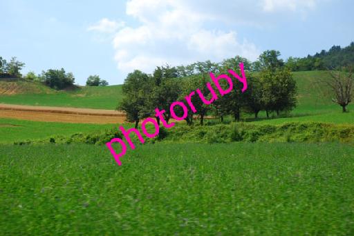 DSC_8913.JPG