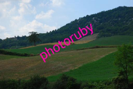DSC_8915.JPG