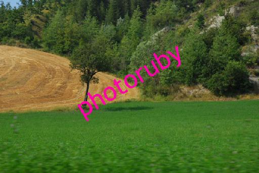 DSC_8917.JPG