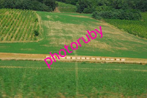 DSC_8921.JPG