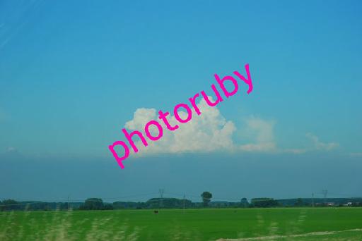 DSC_8923.JPG