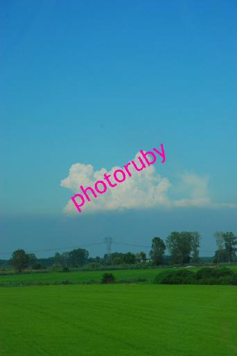 DSC_8924.JPG