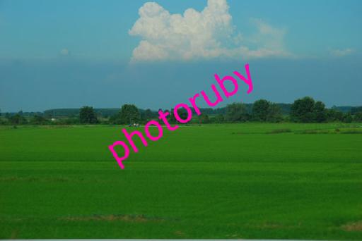 DSC_8925.JPG