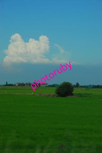 DSC_8927.JPG