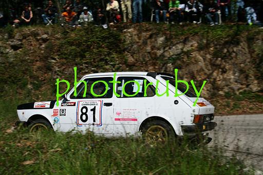 IMG_2868.JPG