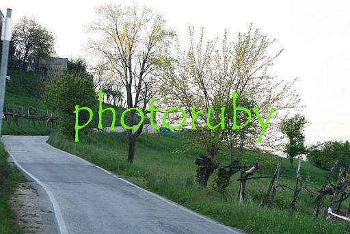 IMG_3617.JPG