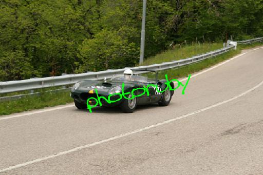 IMG_0373.JPG