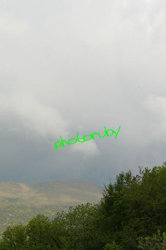 IMG_0703.JPG