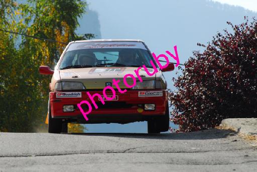 DSC_5549.JPG