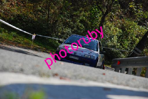 DSC_1167.JPG