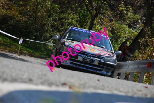 DSC_1247.JPG