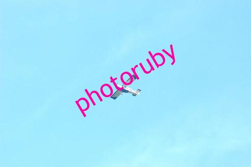 DSC_0501.JPG