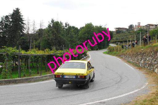 DSC_2428.JPG