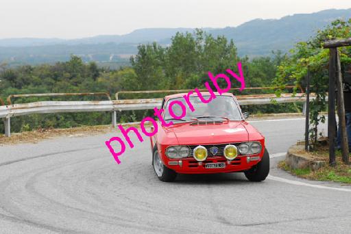 DSC_2553.JPG
