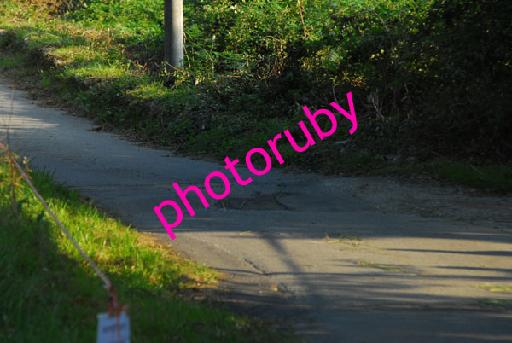 DSC_3095.JPG