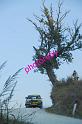 RUB_3118