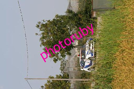 Riso-MF-0215.JPG