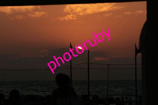 IMG_4018.JPG