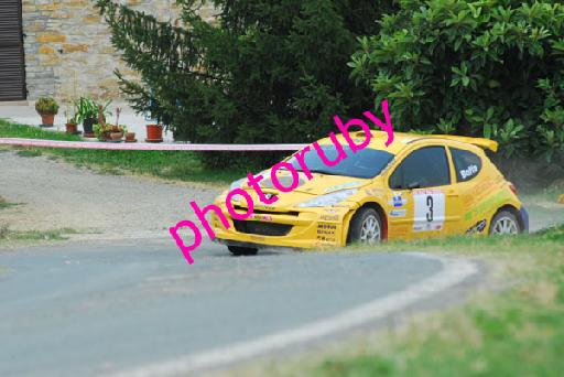DSC_1625.JPG