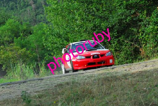 DSC_1176.JPG