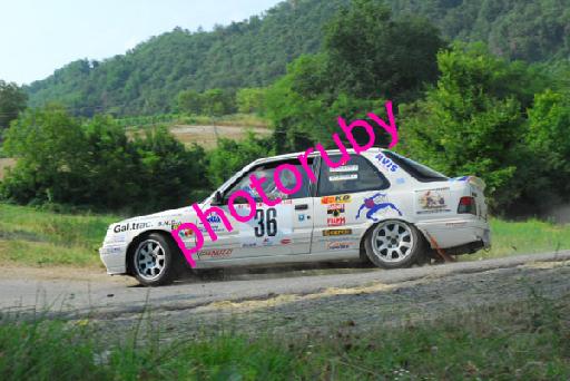 DSC_1272.JPG