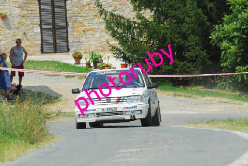 DSC_1768.JPG