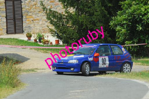 DSC_1911.JPG