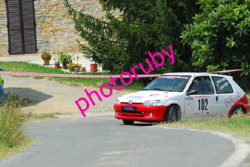 DSC_1952.JPG