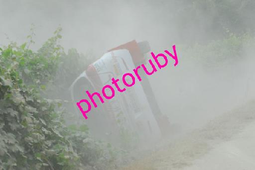 DSC_1982.JPG