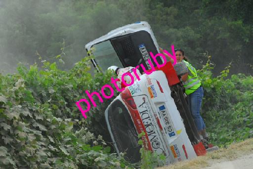 DSC_1985.JPG