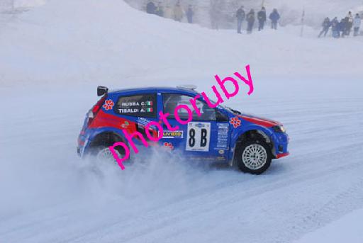 DSC_6459.JPG