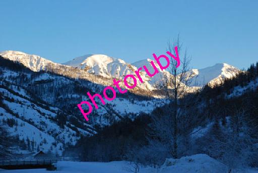DSC_1423.JPG