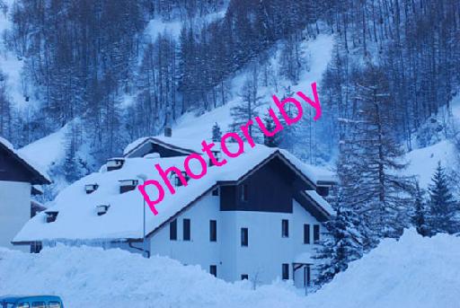 DSC_1719.JPG