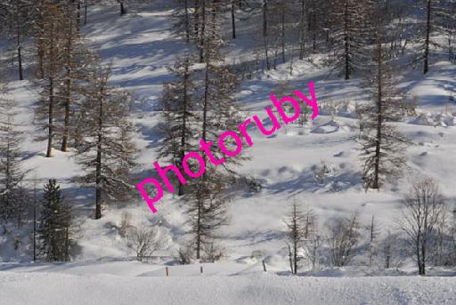 DSC_7735.JPG