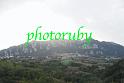 RUB_2481