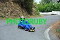 _RUB1407