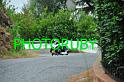 _RUB1441