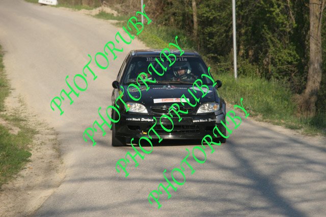 MIRK1317