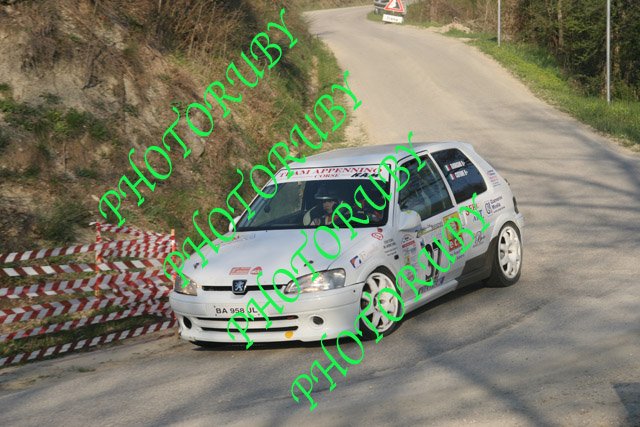MIRK1373