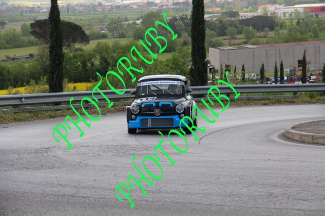 IMG 3247