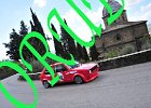 RUB_8110.JPG