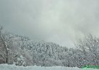 MONTEPIANO