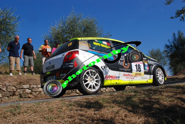 SIM293