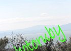 IMG_8329.JPG